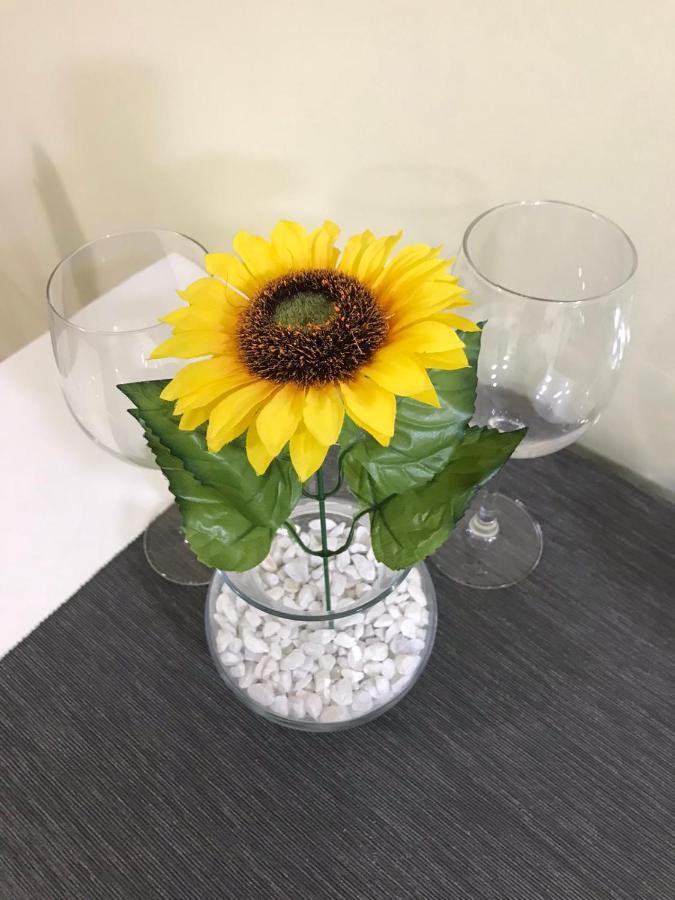 Apartment Sunflower021 Novi Sad Esterno foto