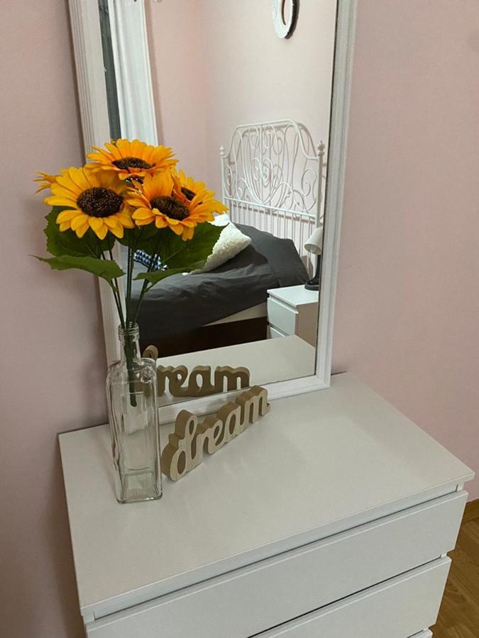 Apartment Sunflower021 Novi Sad Esterno foto