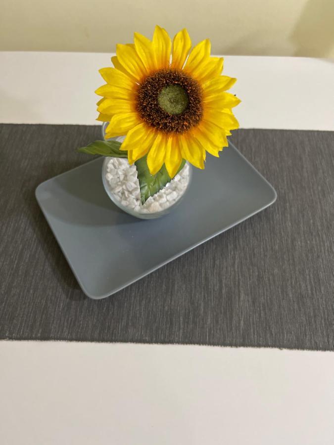 Apartment Sunflower021 Novi Sad Esterno foto